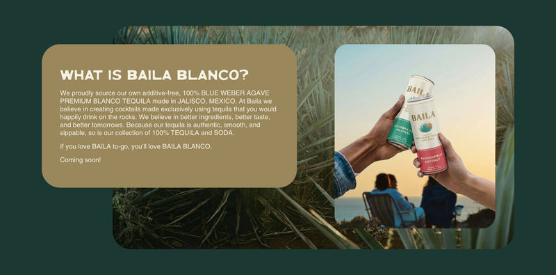 Pre-built Shopify Section Design - Baila - By The Pim Collective