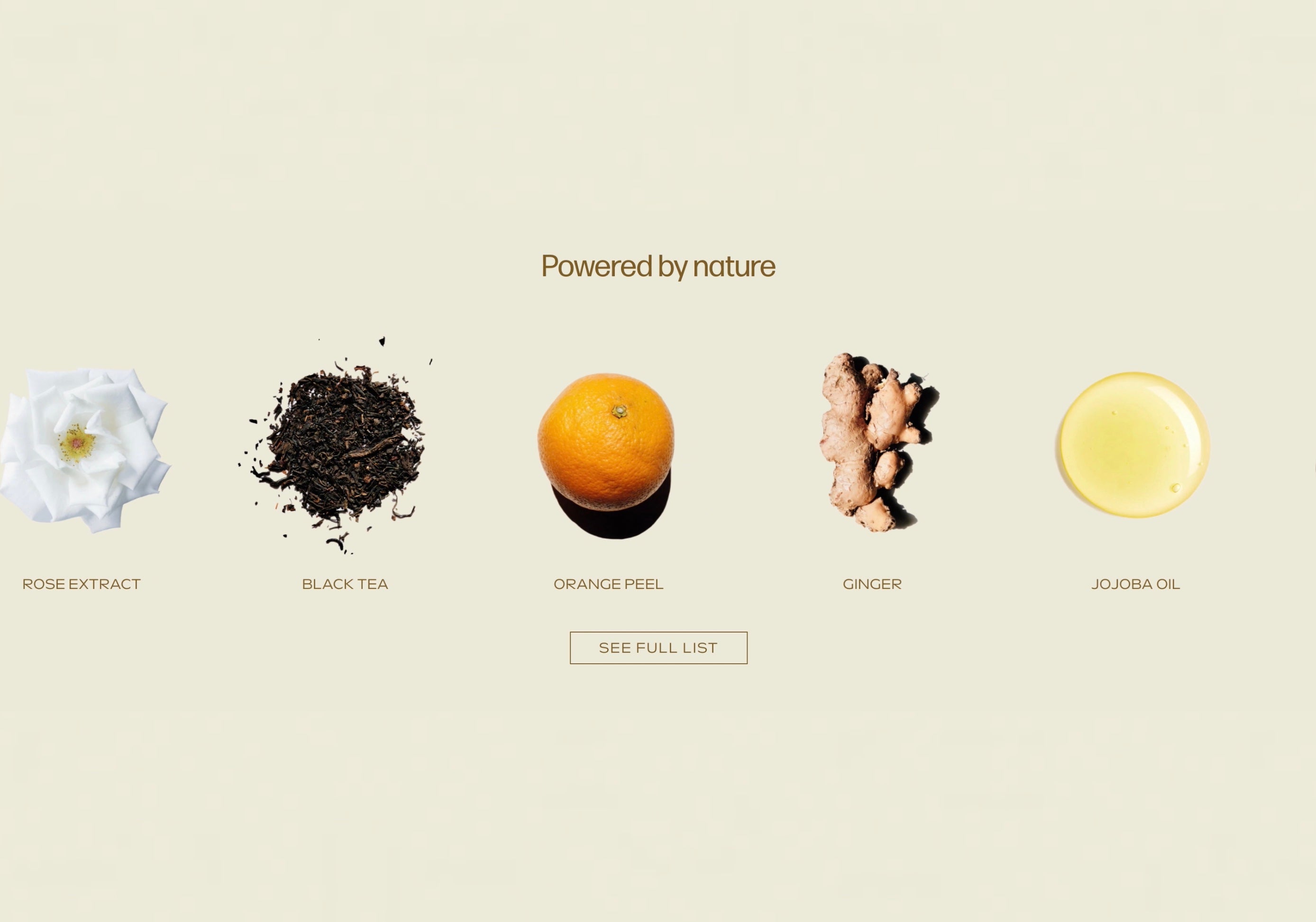 Pre-built Shopify Section Template: Marquee Image & Text - Luna Templates