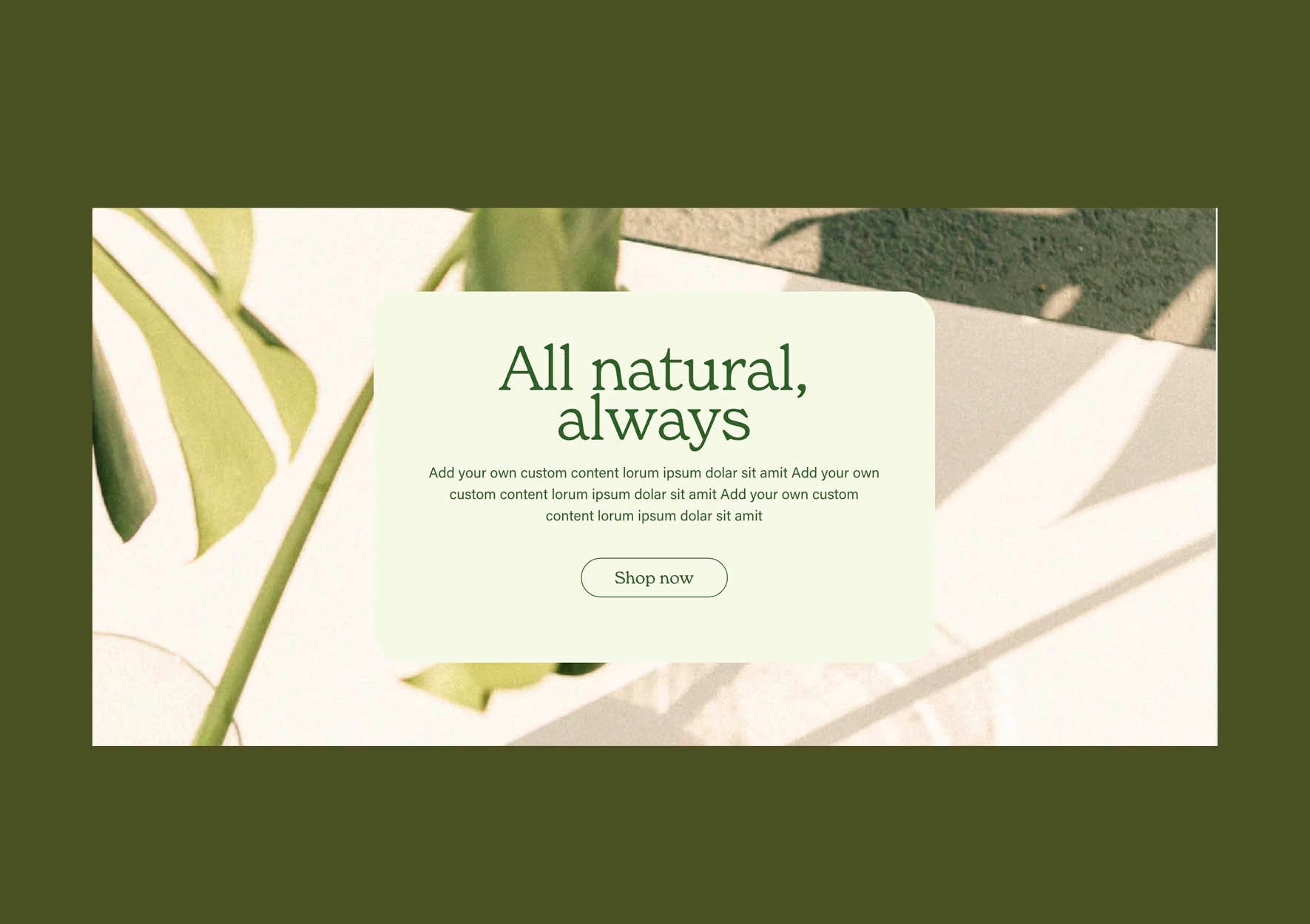 Pre-built Shopify Section Template: Parallax Image Banner - Luna Templates