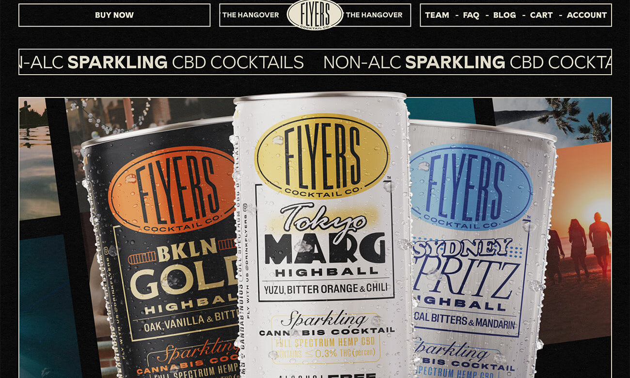 Shopify Website Design Inspiration - Flyers