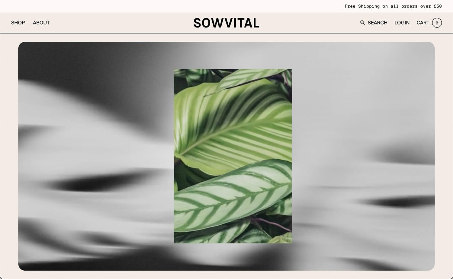 Shopify Website Design Inspiration - Sowvital