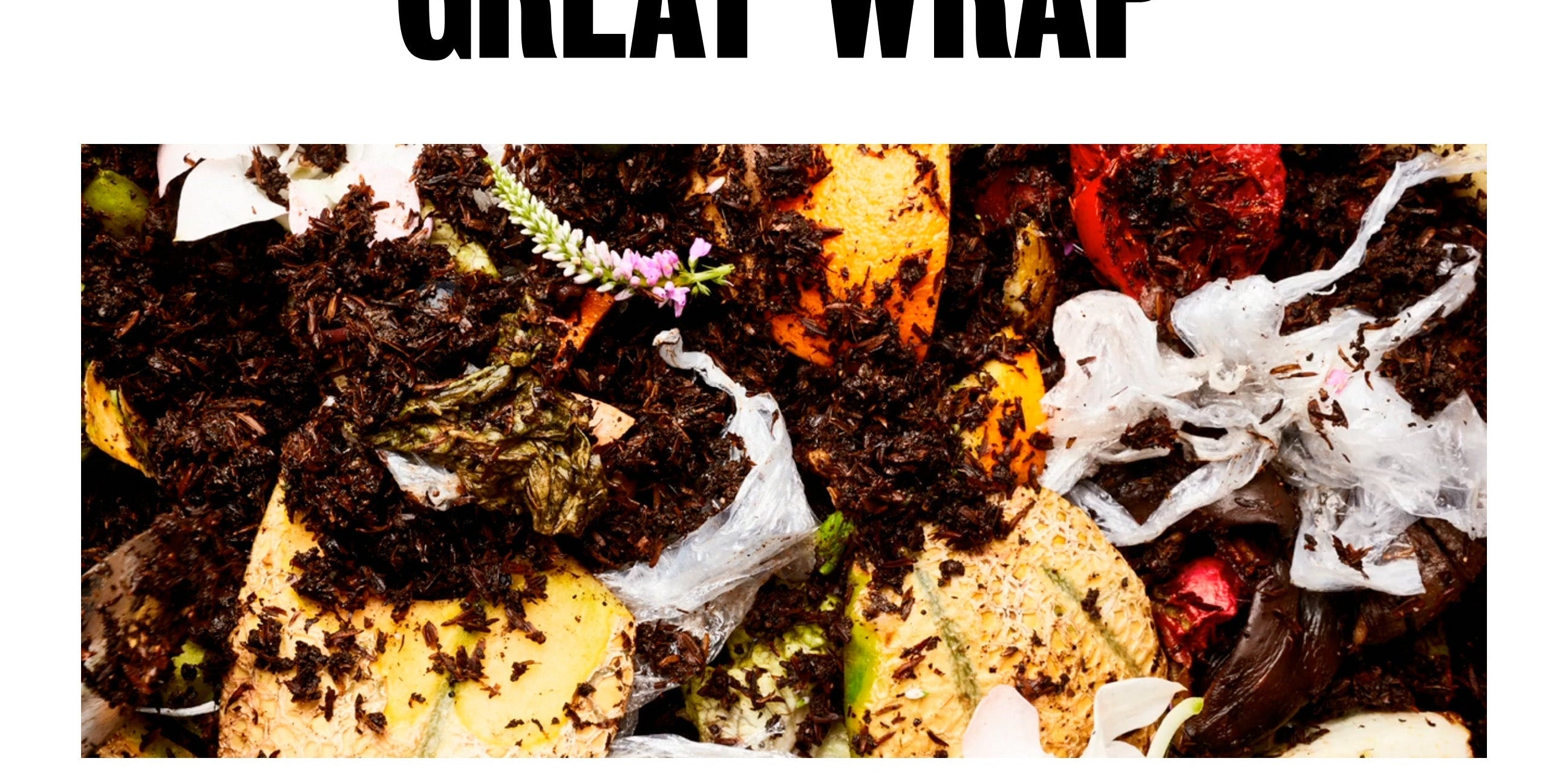 Shopify Website Design Inspiration - Great Wrap