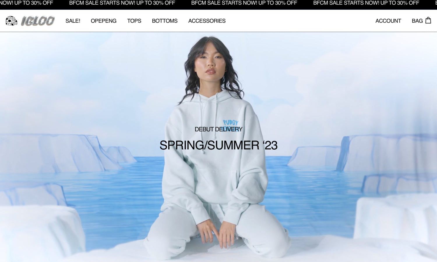 Shopify Website Design Inspiration - Igloo