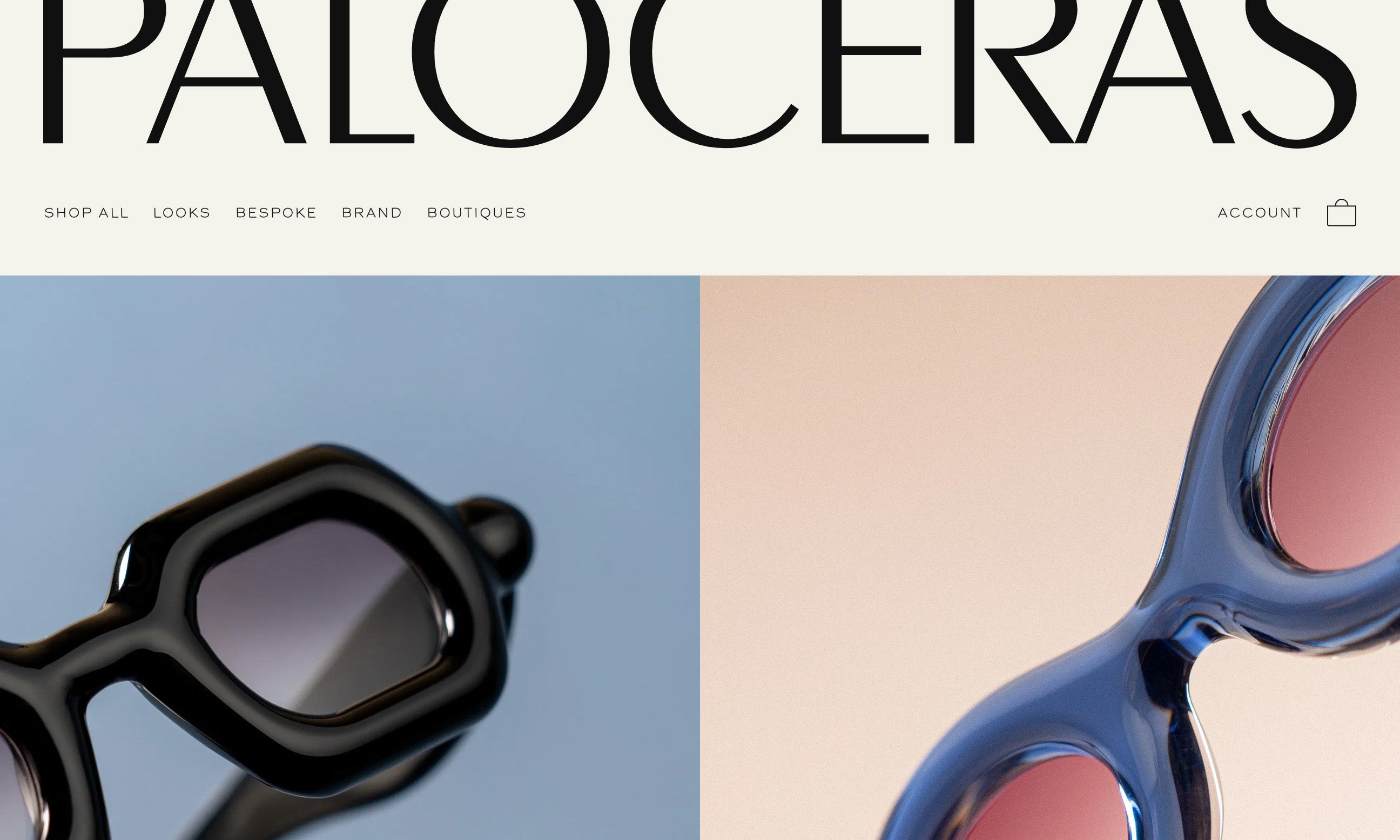 Shopify Website Design Inspiration - Paloceras