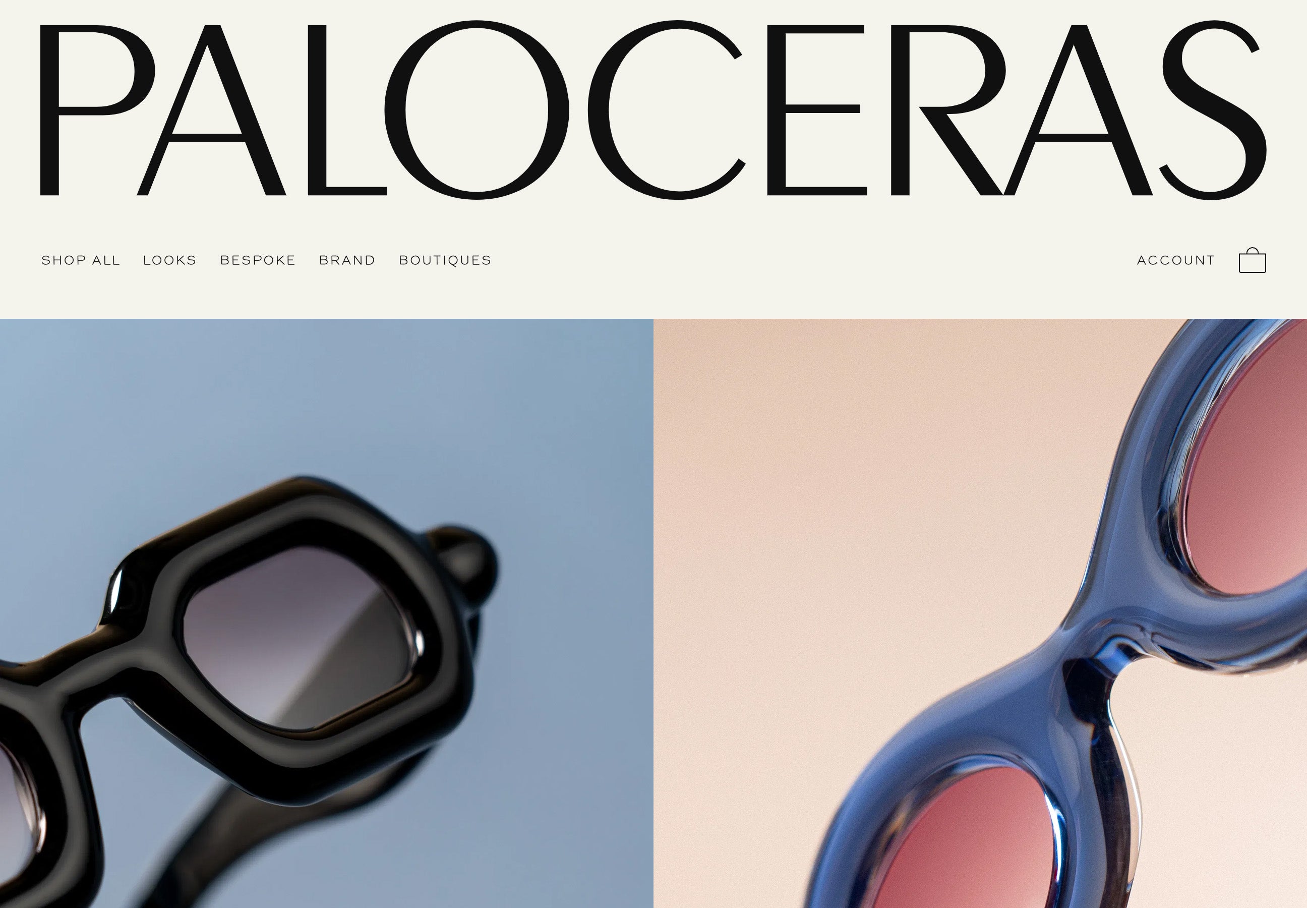 Shopify Website Design Inspiration - Paloceras