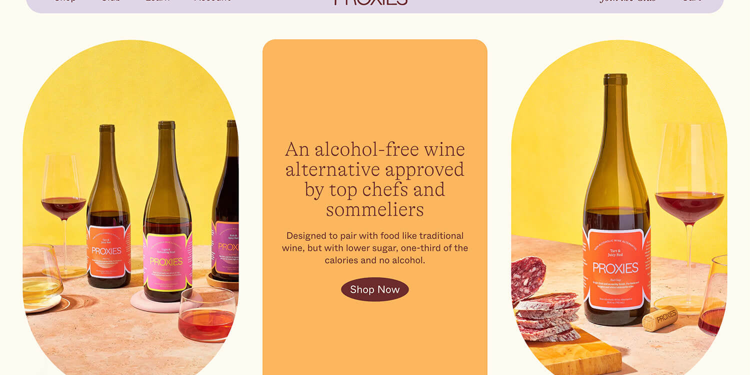 Shopify Website Design Inspiration - Proxies