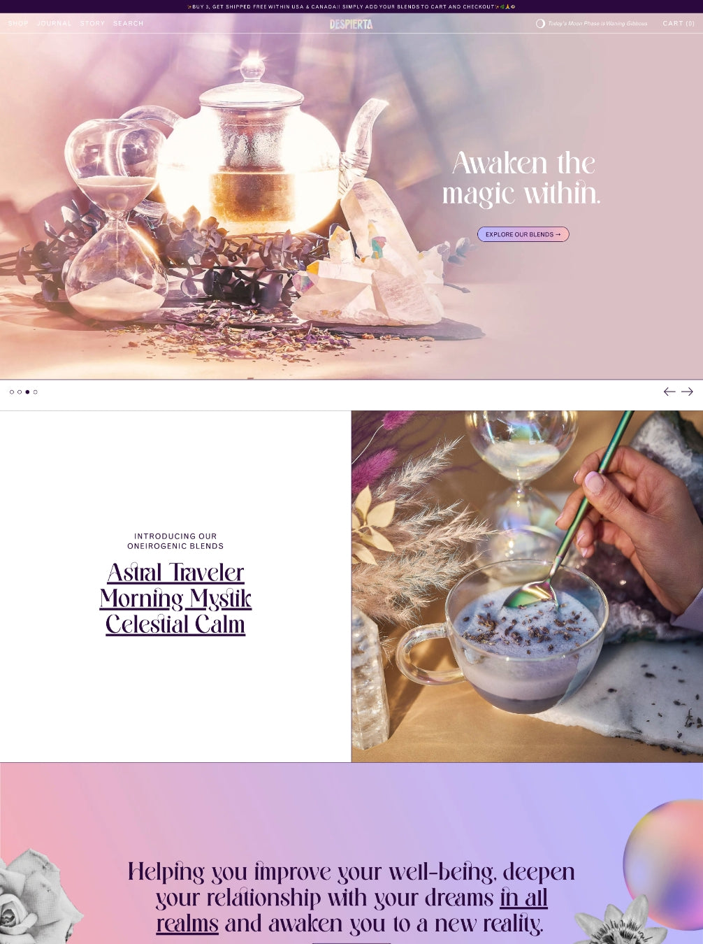 Shopify Website design Screenshot