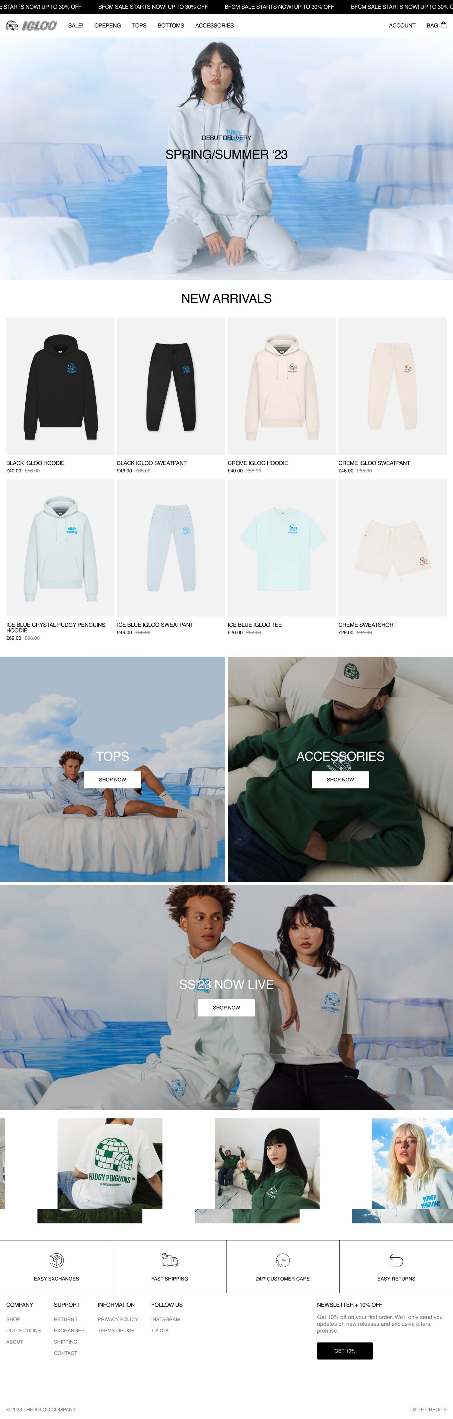 Shopify Website Design Inspiration - Igloo