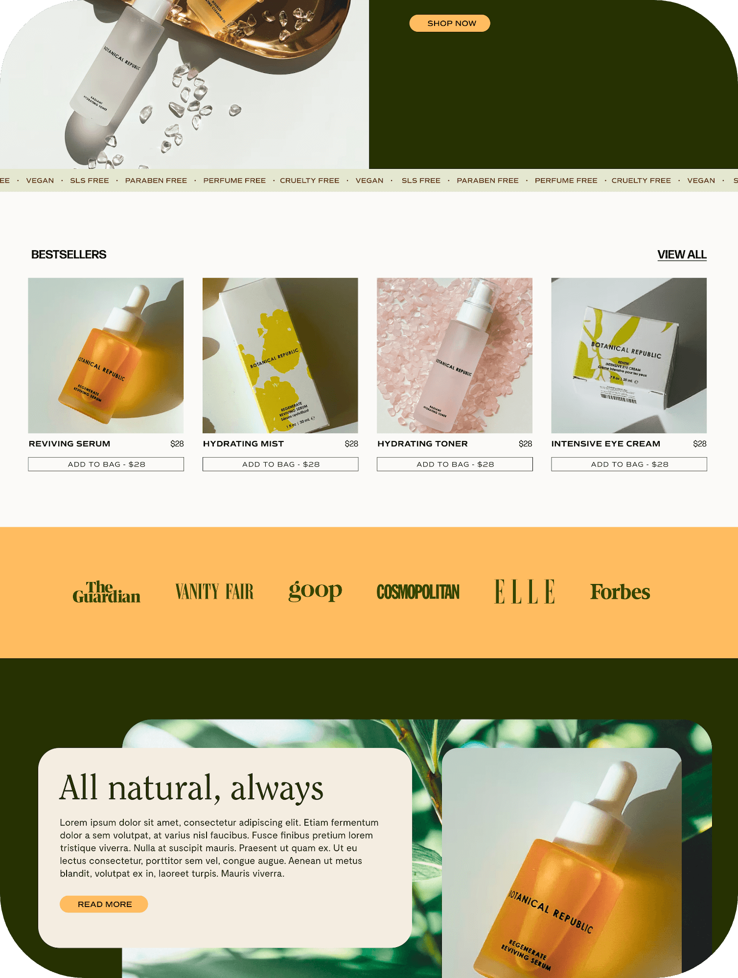 Shopify Website Intensive Design